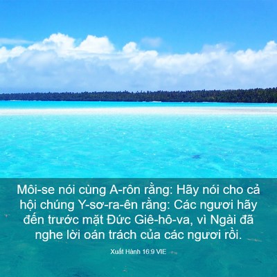 Picture 03 - Xuất Hành 16:9 VIE - Môi-se nói cùng A-rôn rằng: Hãy nói cho - Bible Verse Picture