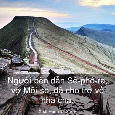 Picture 03 - Xuất Hành 18:2 VIE - Người bèn dẫn Sê-phô-ra, vợ Môi-se, - Bible Verse Picture
