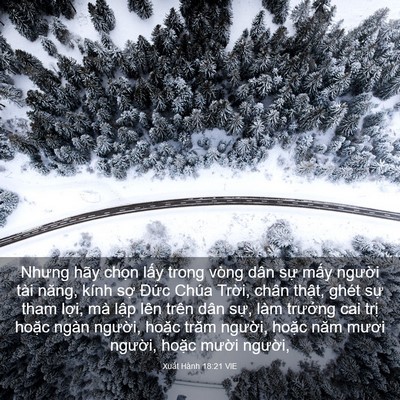 Picture 03 - Xuất Hành 18:21 VIE - Nhưng hãy chọn lấy trong vòng dân sự - Bible Verse Picture