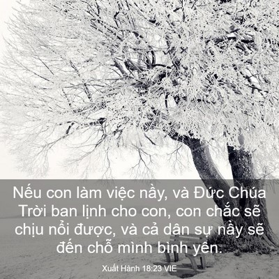 Picture 03 - Xuất Hành 18:23 VIE - Nếu con làm việc nầy, và Đức Chúa - Bible Verse Picture