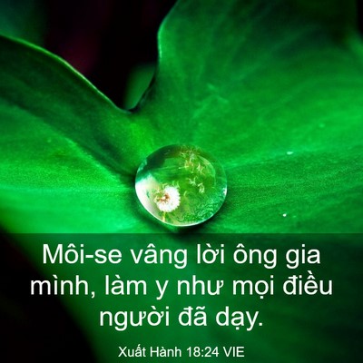 Picture 03 - Xuất Hành 18:24 VIE - Môi-se vâng lời ông gia mình, làm y như - Bible Verse Picture