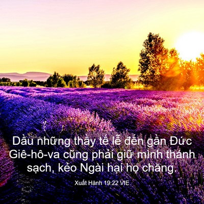 Picture 03 - Xuất Hành 19:22 VIE - Dầu những thầy tế lễ đến gần - Bible Verse Picture