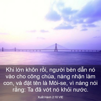 Picture 03 - Xuất Hành 2:10 VIE - Khi lớn khôn rồi, người bèn dẫn nó - Bible Verse Picture