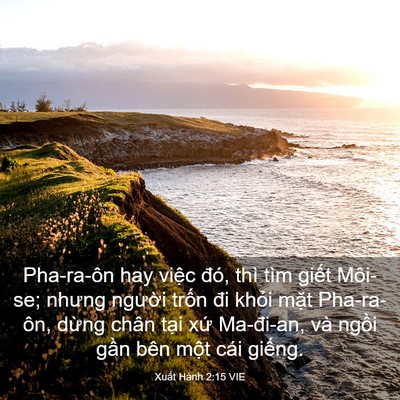 Picture 03 - Xuất Hành 2:15 VIE - Pha-ra-ôn hay việc đó, thì tìm giết - Bible Verse Picture