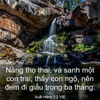 Picture 03 - Xuất Hành 2:2 VIE - Nàng thọ thai, và sanh một con trai; thấy - Bible Verse Picture