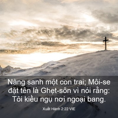 Picture 03 - Xuất Hành 2:22 VIE - Nàng sanh một con trai; Môi-se đặt tên - Bible Verse Picture