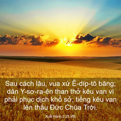Picture 03 - Xuất Hành 2:23 VIE - Sau cách lâu, vua xứ Ê-díp-tô băng; dân - Bible Verse Picture