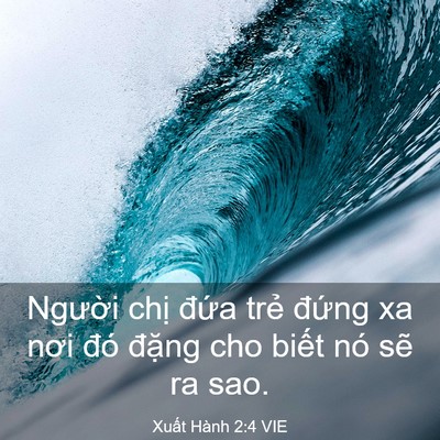 Picture 03 - Xuất Hành 2:4 VIE - Người chị đứa trẻ đứng xa nơi đó - Bible Verse Picture