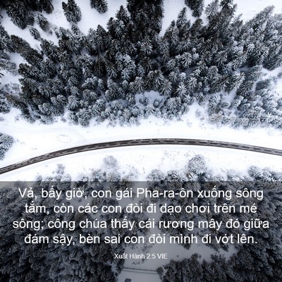 Picture 03 - Xuất Hành 2:5 VIE - Vả, bấy giờ, con gái Pha-ra-ôn xuống - Bible Verse Picture