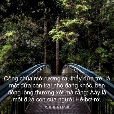 Picture 03 - Xuất Hành 2:6 VIE - Công chúa mở rương ra, thấy đứa trẻ, - Bible Verse Picture