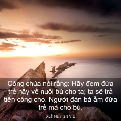 Picture 03 - Xuất Hành 2:9 VIE - Công chúa nói rằng: Hãy đem đứa trẻ - Bible Verse Picture