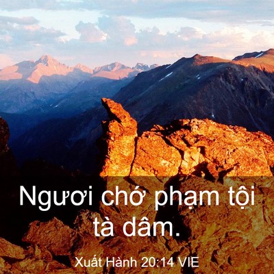 Picture 03 - Xuất Hành 20:14 VIE - Ngươi chớ phạm tội tà - Bible Verse Picture