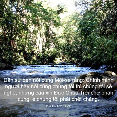 Picture 03 - Xuất Hành 20:19 VIE - Dân sự bèn nói cùng Môi-se rằng: Chính - Bible Verse Picture