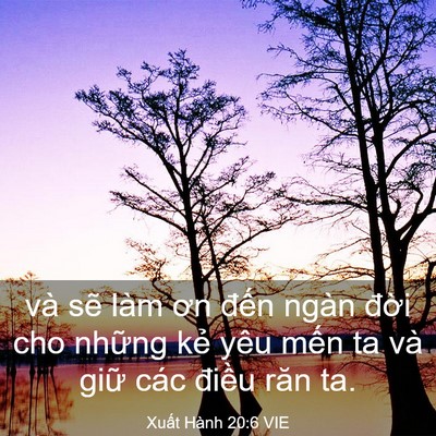 Picture 03 - Xuất Hành 20:6 VIE - và sẽ làm ơn đến ngàn đời cho những - Bible Verse Picture