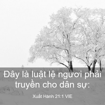 Picture 03 - Xuất Hành 21:1 VIE - Đây là luật lệ ngươi phải truyền cho - Bible Verse Picture