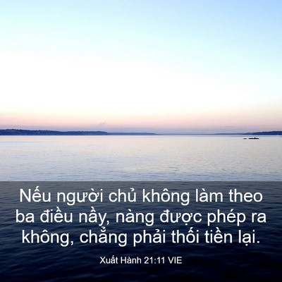 Picture 03 - Xuất Hành 21:11 VIE - Nếu người chủ không làm theo ba điều - Bible Verse Picture