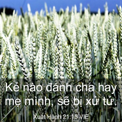 Picture 03 - Xuất Hành 21:15 VIE - Kẻ nào đánh cha hay mẹ mình, sẽ bị - Bible Verse Picture