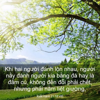 Picture 03 - Xuất Hành 21:18 VIE - Khi hai người đánh lộn nhau, người - Bible Verse Picture