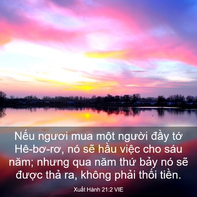 Picture 03 - Xuất Hành 21:2 VIE - Nếu ngươi mua một người đầy tớ - Bible Verse Picture