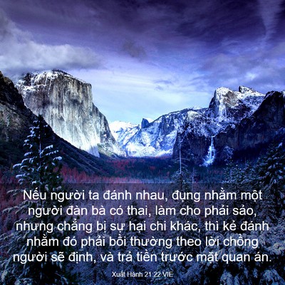 Picture 03 - Xuất Hành 21:22 VIE - Nếu người ta đánh nhau, đụng nhằm - Bible Verse Picture
