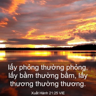Picture 03 - Xuất Hành 21:25 VIE - lấy phỏng thường phỏng, lấy bầm - Bible Verse Picture