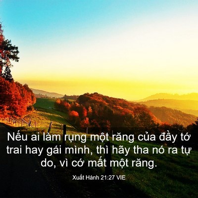 Picture 03 - Xuất Hành 21:27 VIE - Nếu ai làm rụng một răng của đầy - Bible Verse Picture