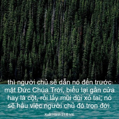 Picture 03 - Xuất Hành 21:6 VIE - thì người chủ sẽ dẫn nó đến - Bible Verse Picture