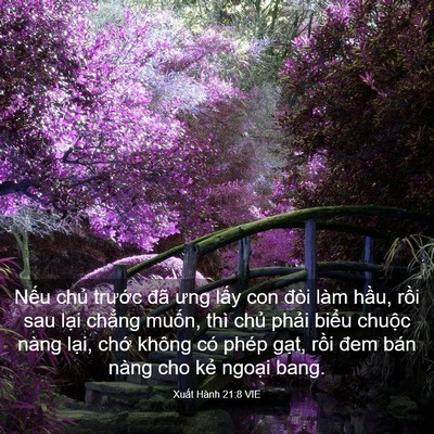 Picture 03 - Xuất Hành 21:8 VIE - Nếu chủ trước đã ưng lấy con đòi - Bible Verse Picture
