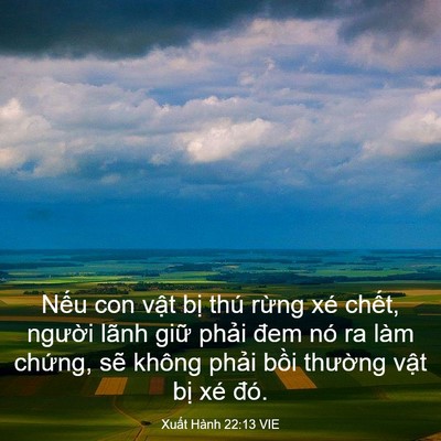 Picture 03 - Xuất Hành 22:13 VIE - Nếu con vật bị thú rừng xé chết, - Bible Verse Picture