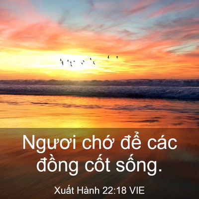 Picture 03 - Xuất Hành 22:18 VIE - Ngươi chớ để các đồng cốt - Bible Verse Picture