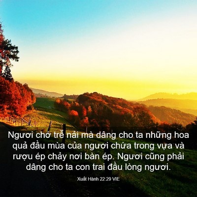 Picture 03 - Xuất Hành 22:29 VIE - Ngươi chớ trễ nải mà dâng cho ta - Bible Verse Picture