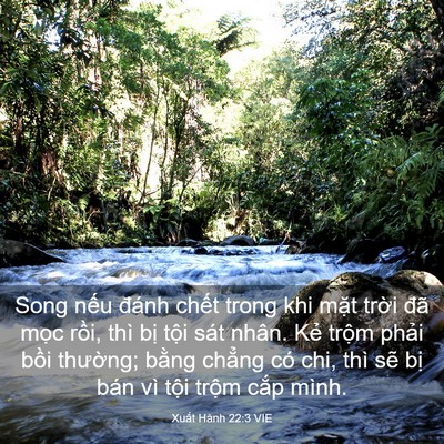 Picture 03 - Xuất Hành 22:3 VIE - Song nếu đánh chết trong khi mặt trời - Bible Verse Picture
