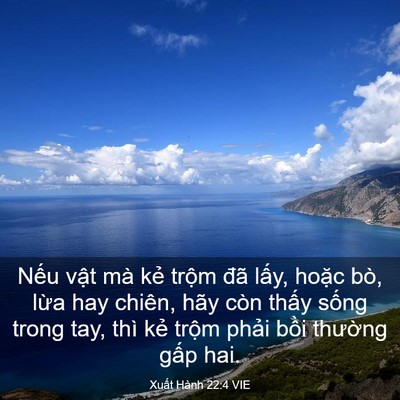 Picture 03 - Xuất Hành 22:4 VIE - Nếu vật mà kẻ trộm đã lấy, hoặc - Bible Verse Picture