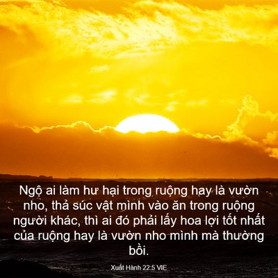 Picture 03 - Xuất Hành 22:5 VIE - Ngộ ai làm hư hại trong ruộng hay là - Bible Verse Picture