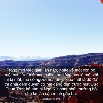 Picture 03 - Xuất Hành 22:9 VIE - Trong mọi việc gian lận nào, hoặc về - Bible Verse Picture