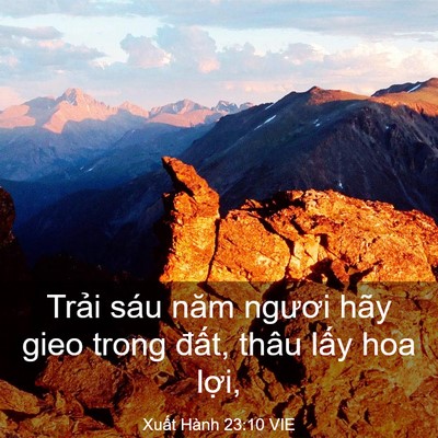 Picture 03 - Xuất Hành 23:10 VIE - Trải sáu năm ngươi hãy gieo trong đất, - Bible Verse Picture