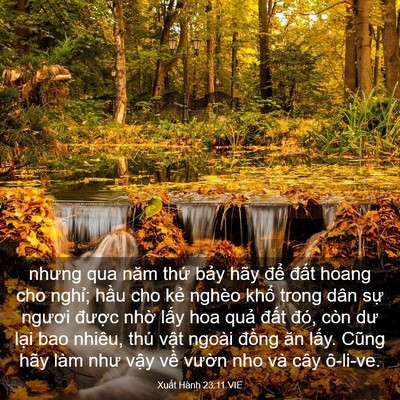 Picture 03 - Xuất Hành 23:11 VIE - nhưng qua năm thứ bảy hãy để đất - Bible Verse Picture