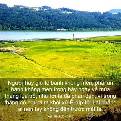 Picture 03 - Xuất Hành 23:15 VIE - Ngươi hãy giữ lễ bánh không men; phải - Bible Verse Picture
