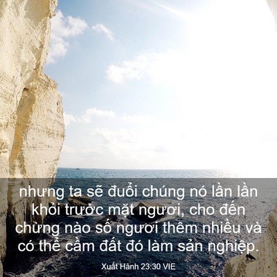 Picture 03 - Xuất Hành 23:30 VIE - nhưng ta sẽ đuổi chúng nó lần lần - Bible Verse Picture