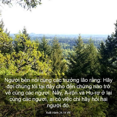 Picture 03 - Xuất Hành 24:14 VIE - Người bèn nói cùng các trưởng lão - Bible Verse Picture