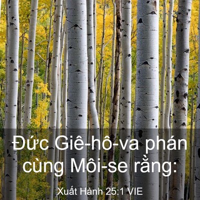 Picture 03 - Xuất Hành 25:1 VIE - Đức Giê-hô-va phán cùng Môi-se - Bible Verse Picture