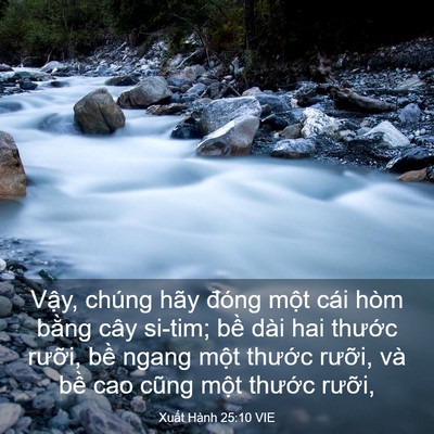 Picture 03 - Xuất Hành 25:10 VIE - Vậy, chúng hãy đóng một cái hòm bằng - Bible Verse Picture