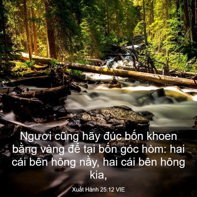 Picture 03 - Xuất Hành 25:12 VIE - Ngươi cũng hãy đúc bốn khoen bằng vàng - Bible Verse Picture