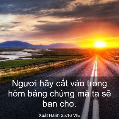 Picture 03 - Xuất Hành 25:16 VIE - Ngươi hãy cất vào trong hòm bảng chứng - Bible Verse Picture
