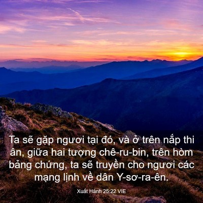 Picture 03 - Xuất Hành 25:22 VIE - Ta sẽ gặp ngươi tại đó, và ở trên - Bible Verse Picture