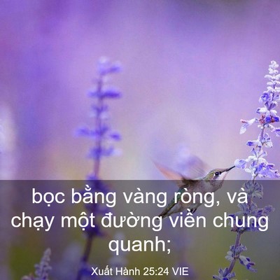 Picture 03 - Xuất Hành 25:24 VIE - bọc bằng vàng ròng, và chạy một - Bible Verse Picture