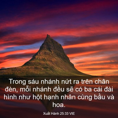 Picture 03 - Xuất Hành 25:33 VIE - Trong sáu nhánh nứt ra trên chân đèn, - Bible Verse Picture