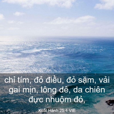 Picture 03 - Xuất Hành 25:4 VIE - chỉ tím, đỏ điều, đỏ sặm, vải gai - Bible Verse Picture