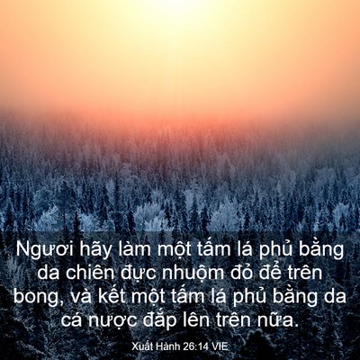 Picture 03 - Xuất Hành 26:14 VIE - Ngươi hãy làm một tấm lá phủ bằng da - Bible Verse Picture