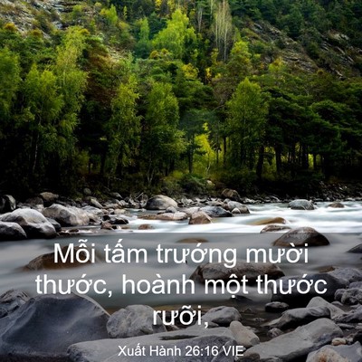 Picture 03 - Xuất Hành 26:16 VIE - Mỗi tấm trướng mười thước, hoành - Bible Verse Picture